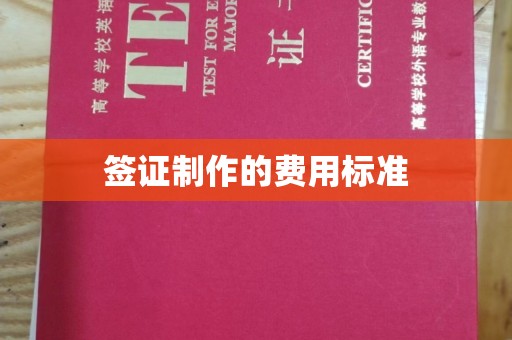 平果签证制作的费用标准